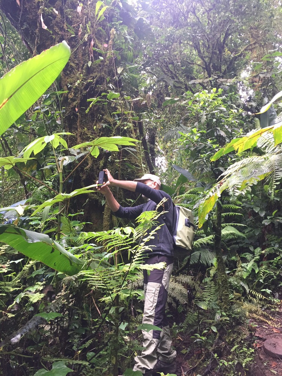 Costa Rica -  - 