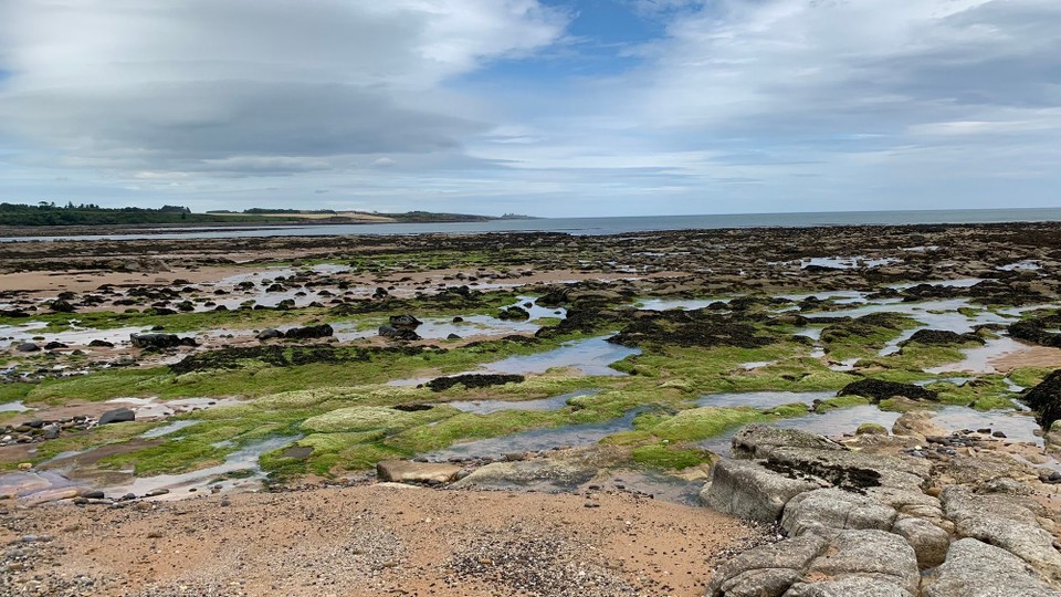 Vereinigtes Königreich - Wandylaw - Longhoughton Beach.
Bi Fluet wäre mir jetz hie im Wasser!