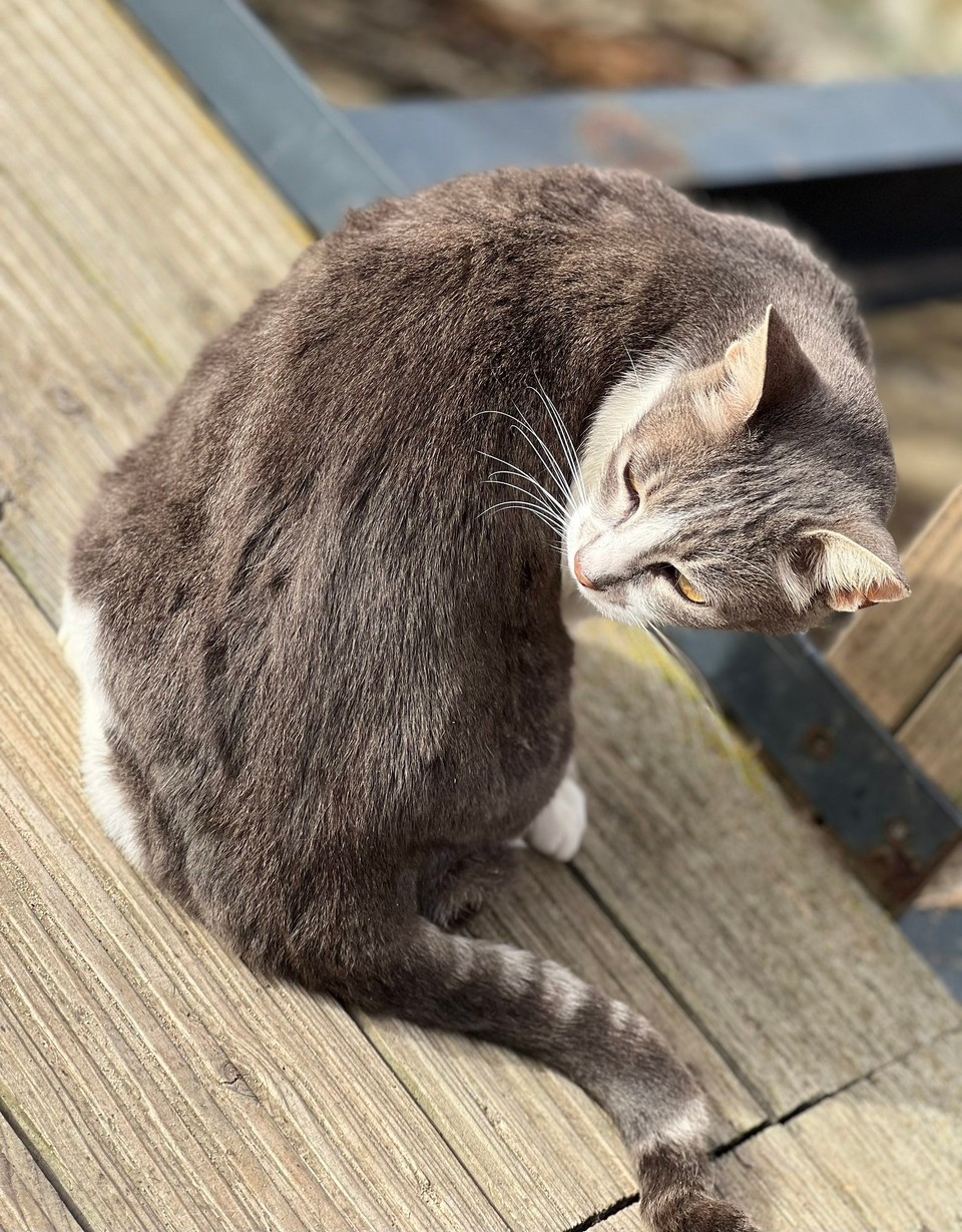 Portugal - Vila Nova de Milfontes - Davon gibt es hier eine ganze Menge. 