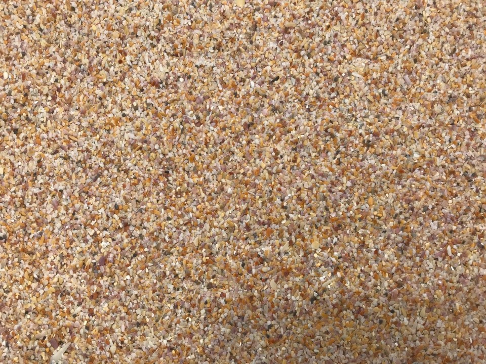 Neuseeland -  - Feiner Muschelstrand