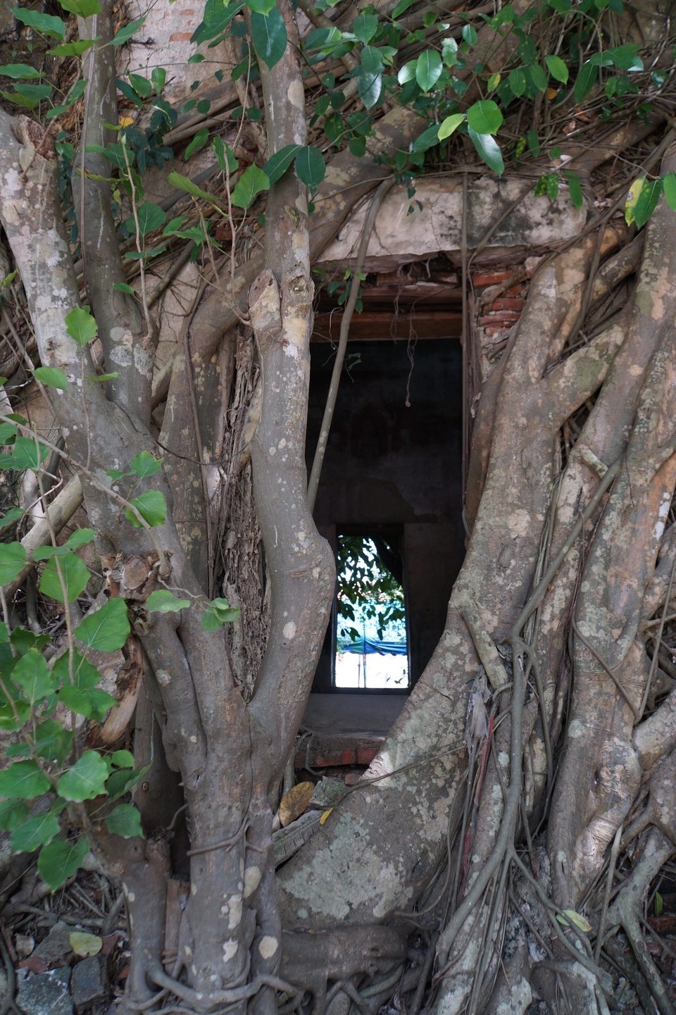 Thailand - Bangkok - 