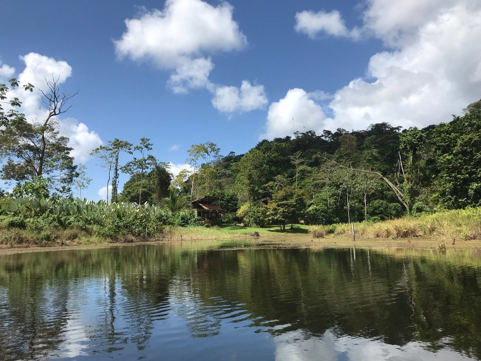 Costa Rica - San Carlos - 