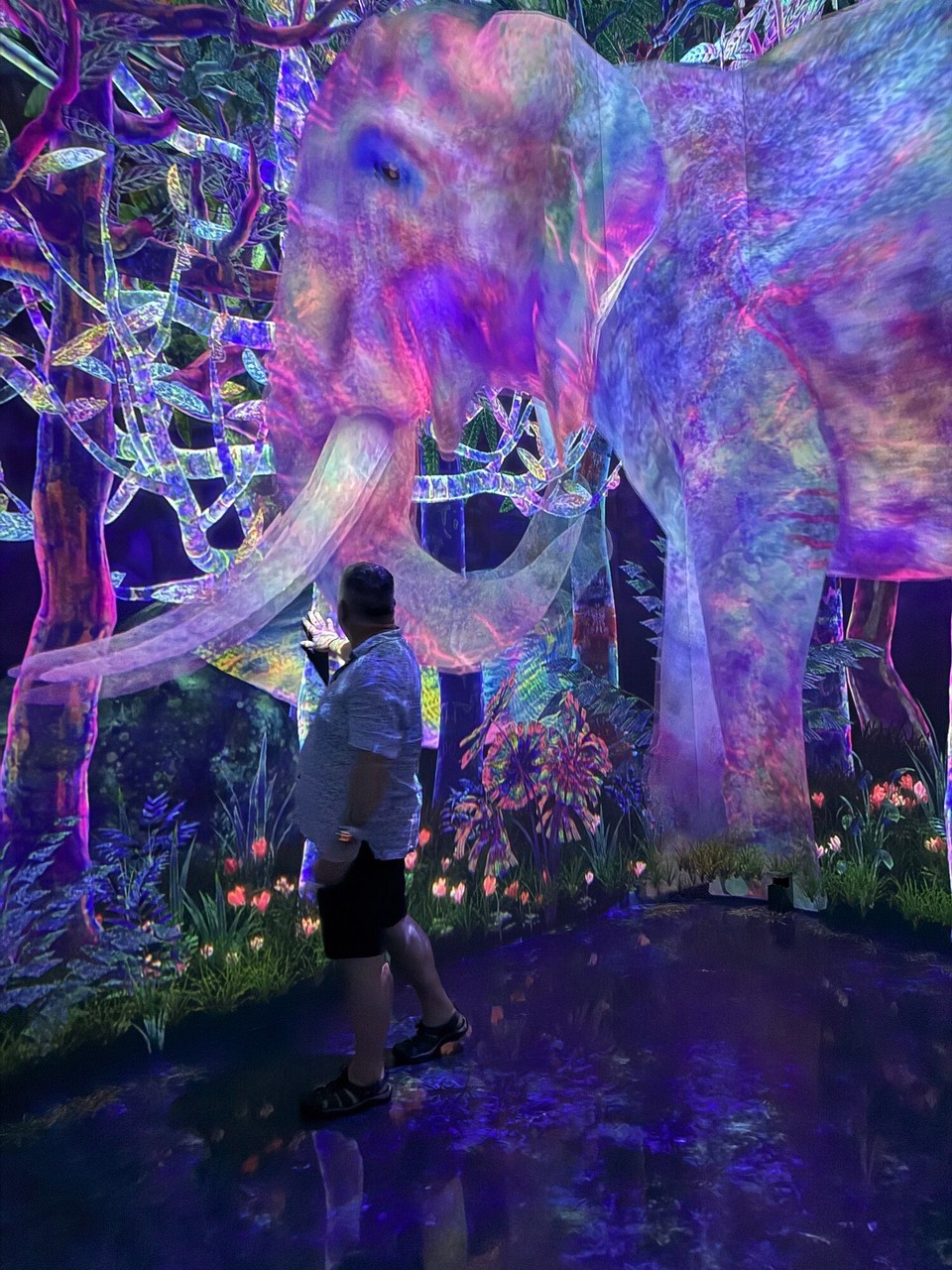 Japan - Chiyoda - Im Dschungel 