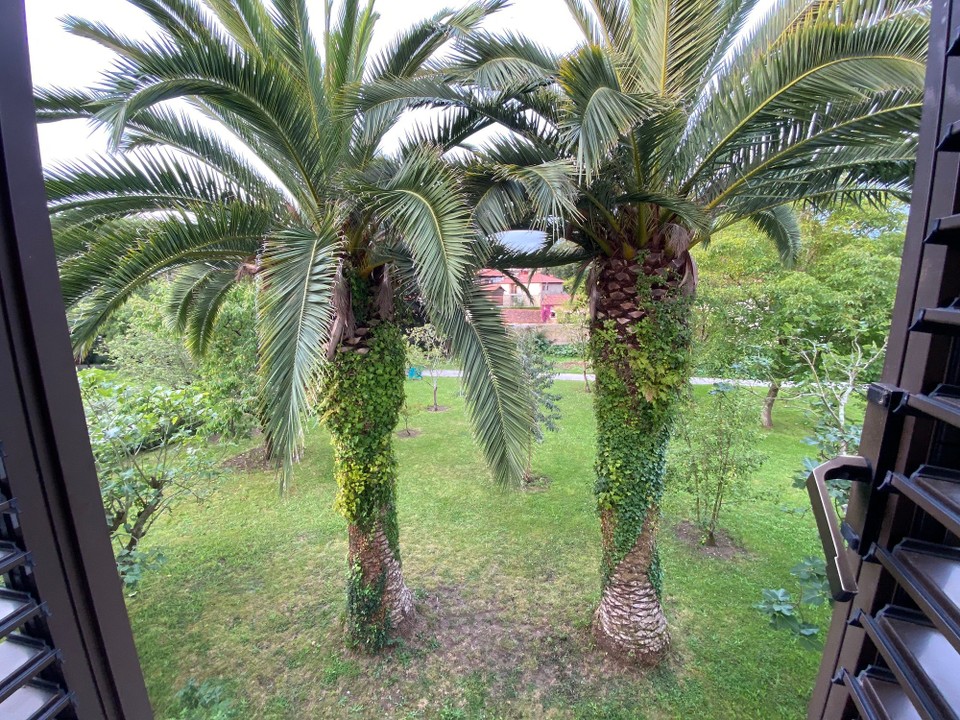 Spanien - Comillas - Blick aus unserem Fenster