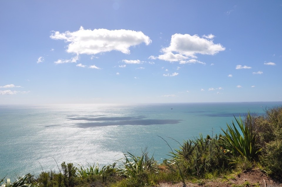 Neuseeland - Papamoa - 