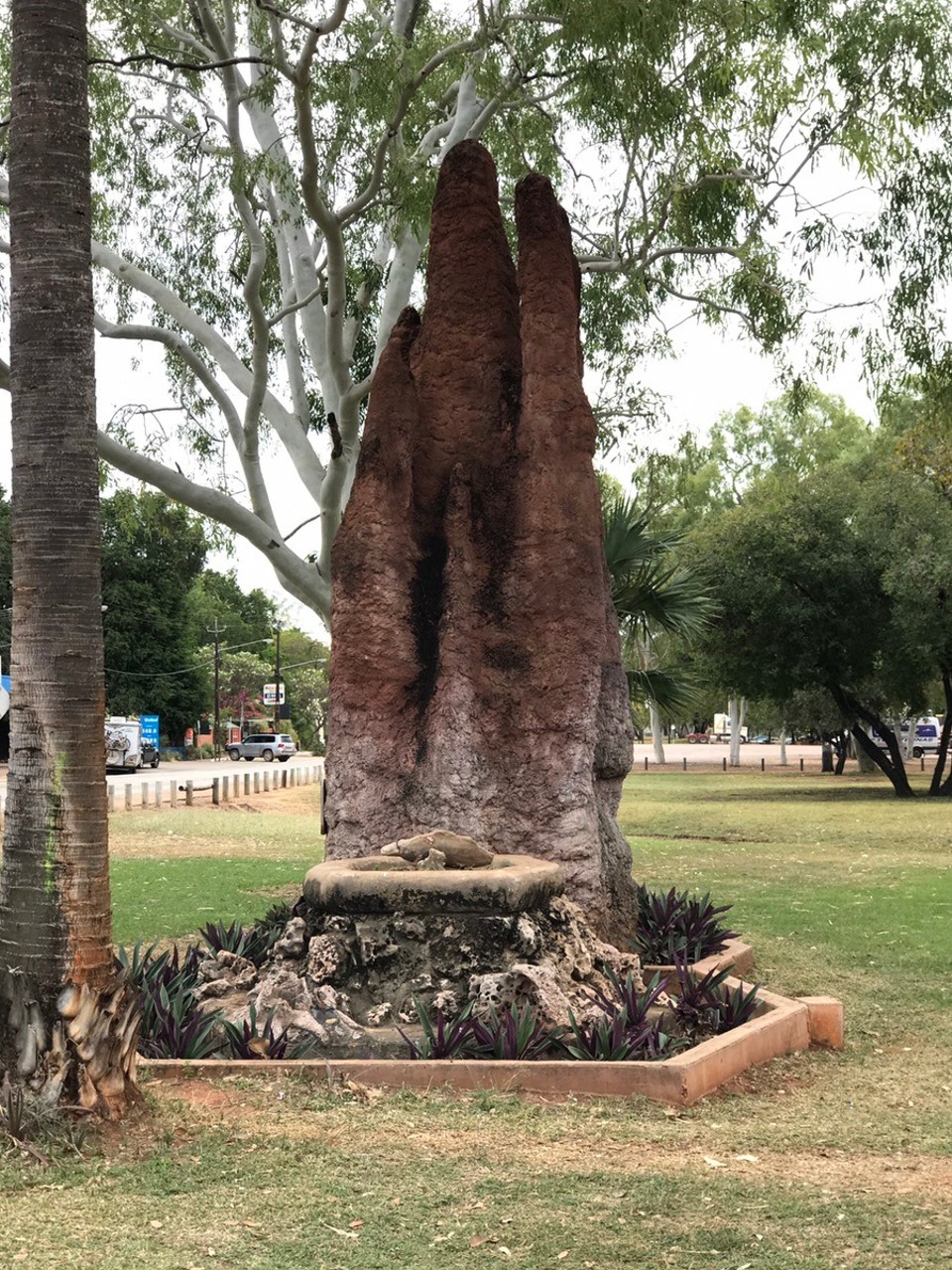 Australia - Mataranka - Big termites in these parts !