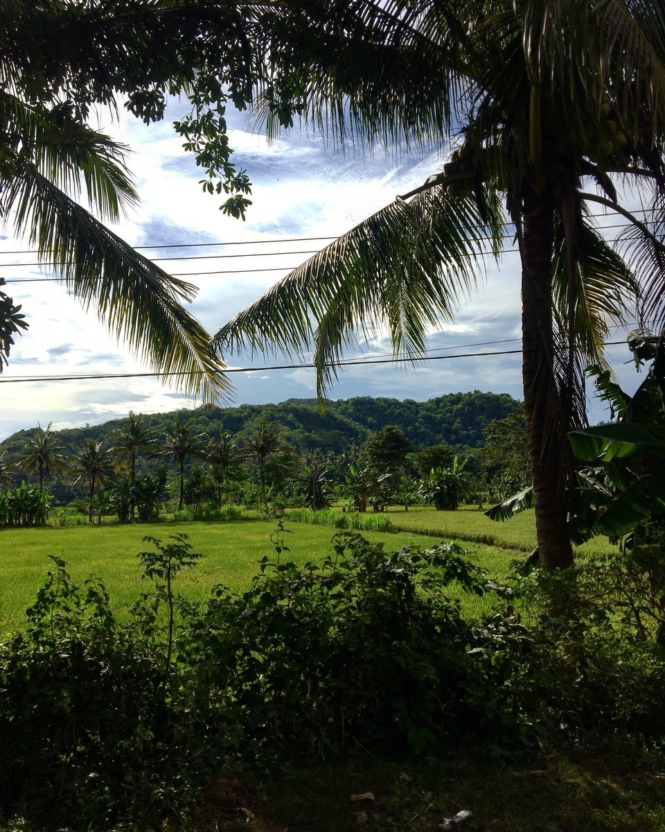 Indonesien - Lombok Tengah - 