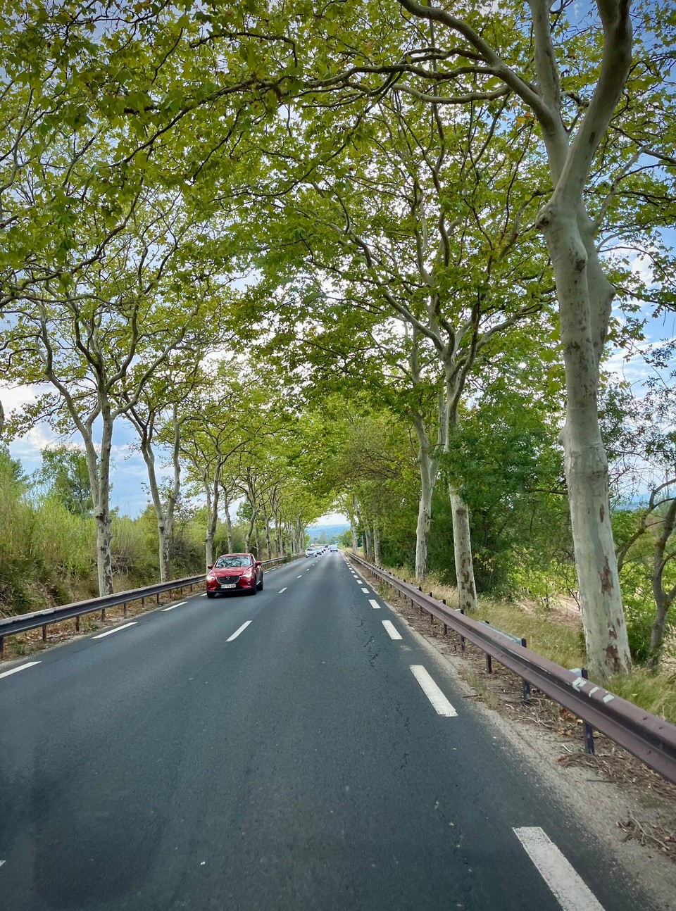 Frankreich - Carcassonne - Und immer wieder Alleen