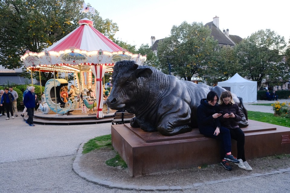 Frankreich - Beaune - 