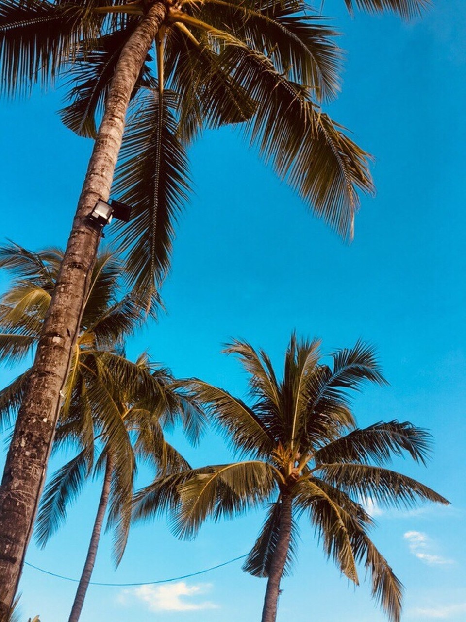Malaysia - Kuah - 