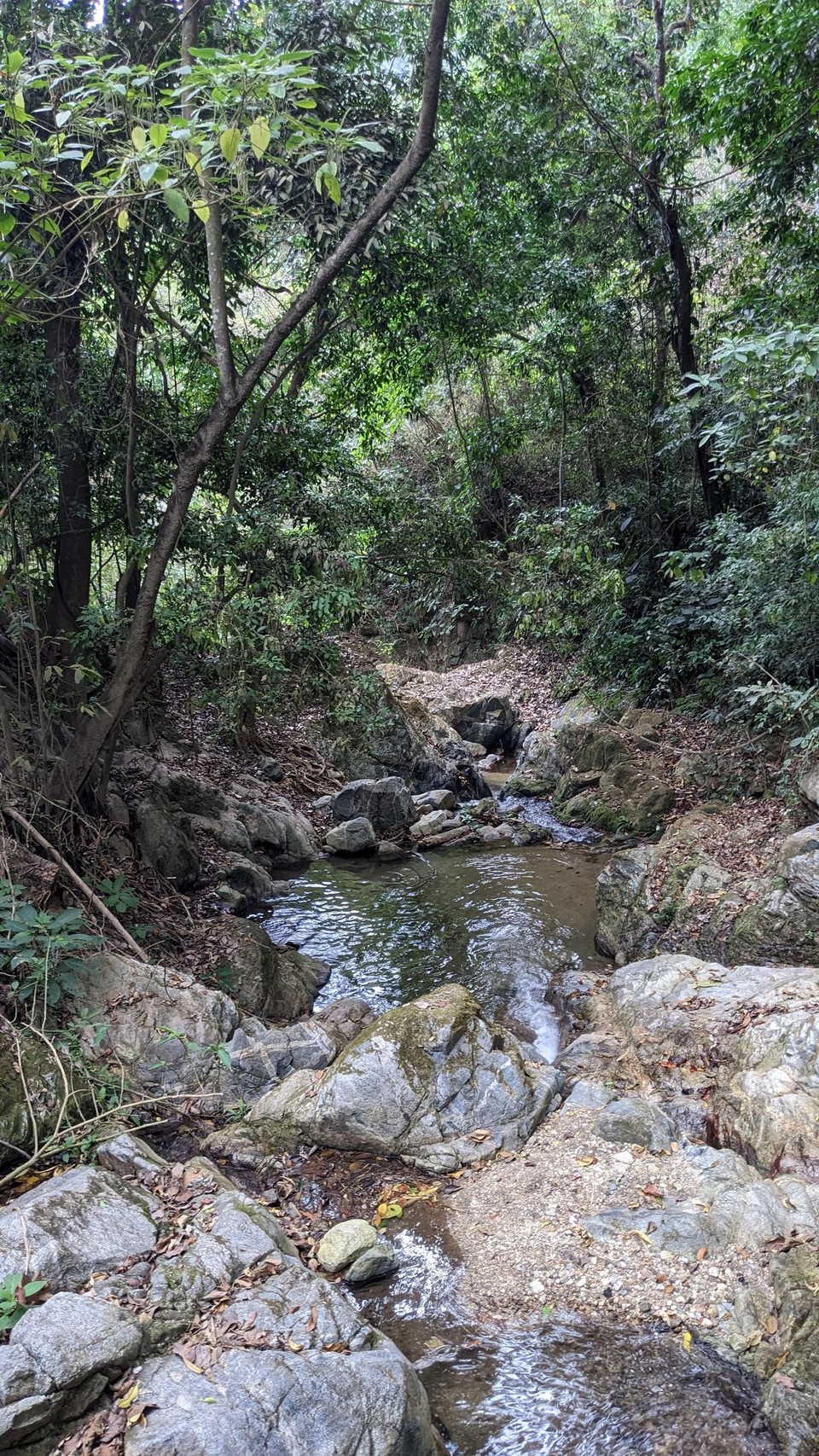 Kolumbien - Minca - 