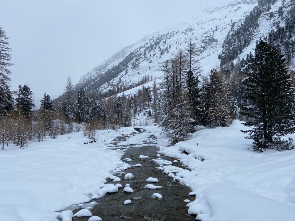 Schweiz - Pontresina - 