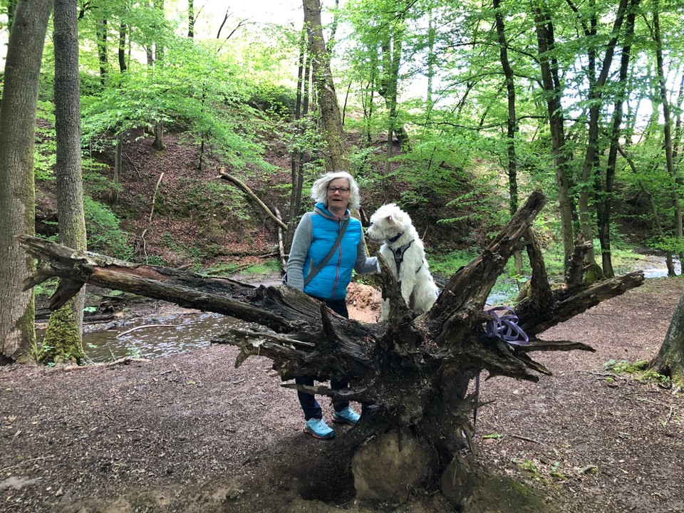 Deutschland - Odenthal - 