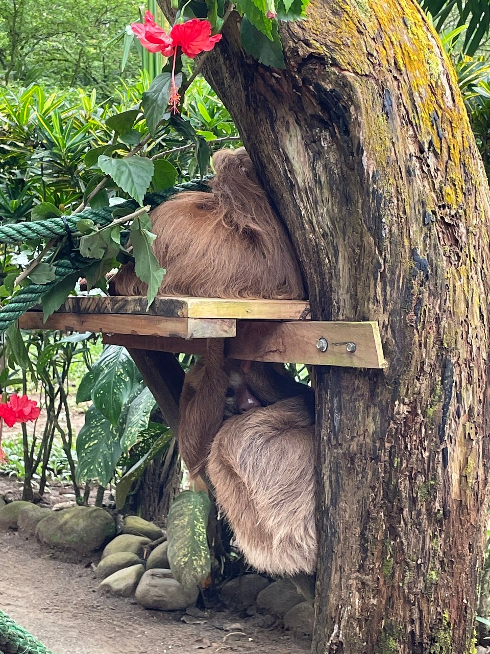 Costa Rica - Talamanca - 