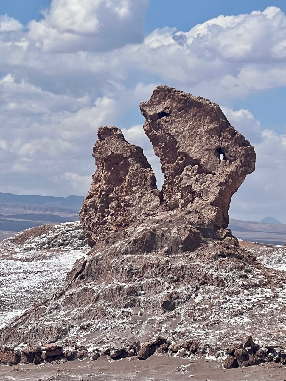 Chile - San Pedro de Atacama - It’s a T- Rex innit- obvs! 