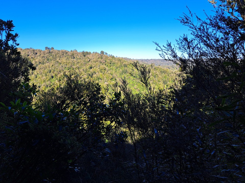 Neuseeland - Puketotara - Der Weg führt auf diesen Gipfel 