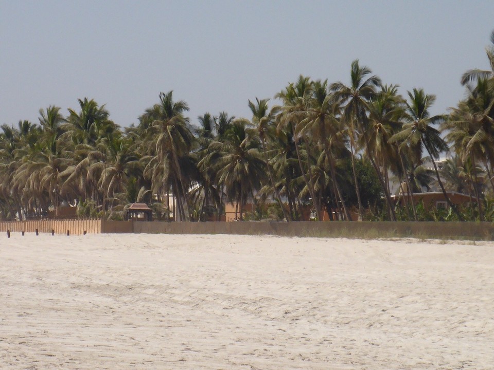  -  - Der Tag am Strand