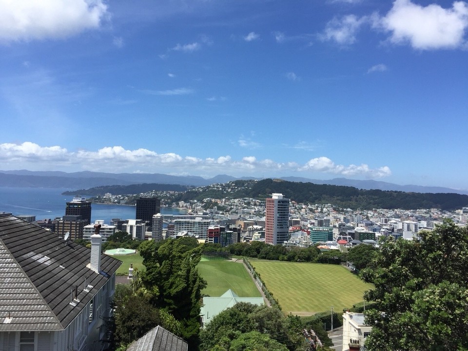 Neuseeland - Wellington - Blick von Botanischen Garten auf Wellington 