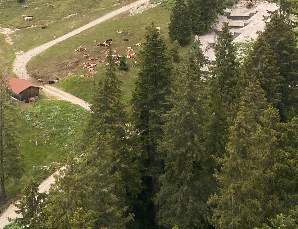 Deutschland - Oberstdorf - 