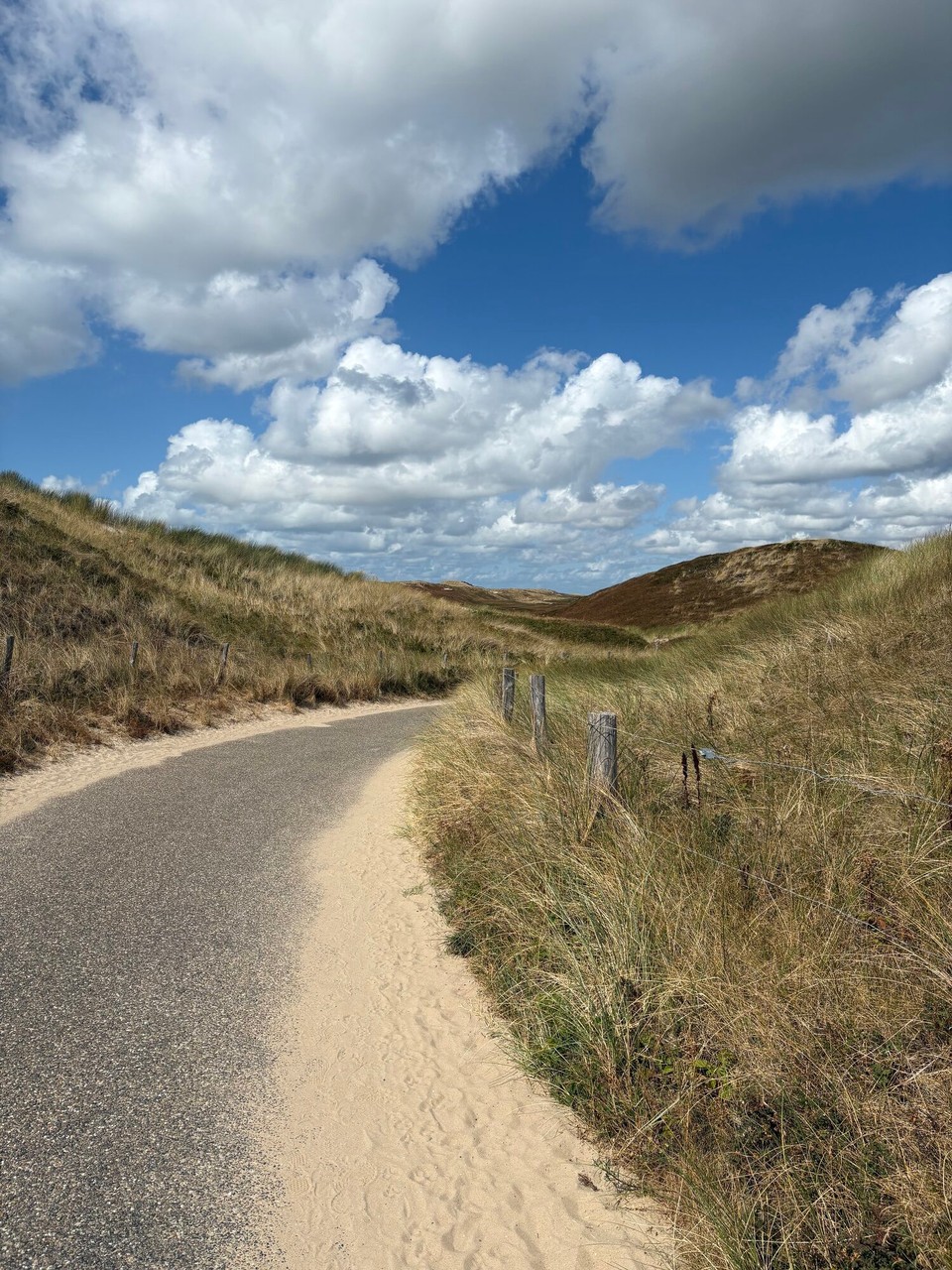 Niederlande - Julianadorp - Tolle Joggingstrecke durch die schönen Dünen