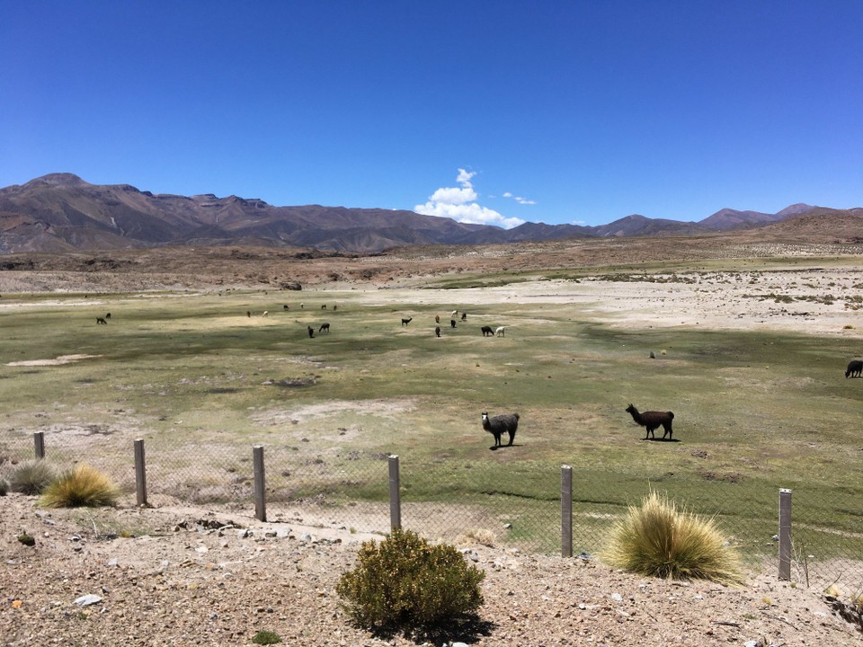 Bolivien - Potosí - 