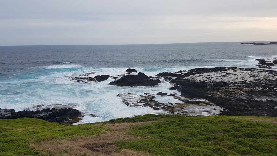 Australien - Phillip Island - 