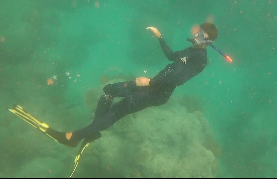 Australien - Cape Conway - Er cha afanga schwümma und taucha wia a Fisch.