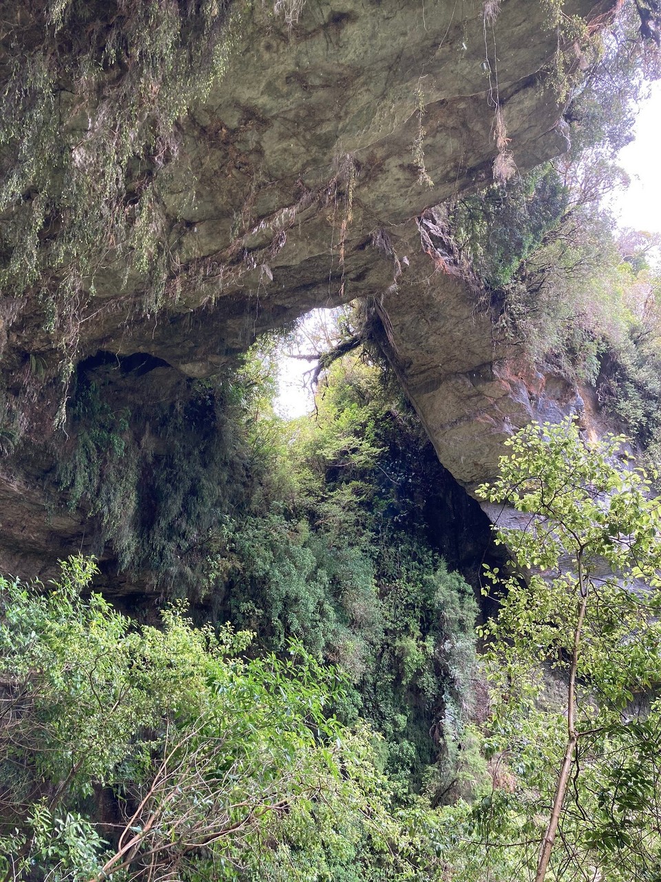 Neuseeland - Kahurangi National Park - Limestone Arch