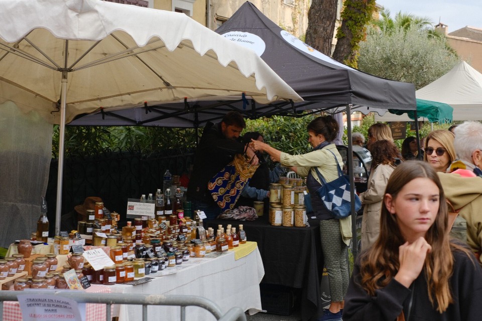 Frankreich - La Garde-Freinet - 