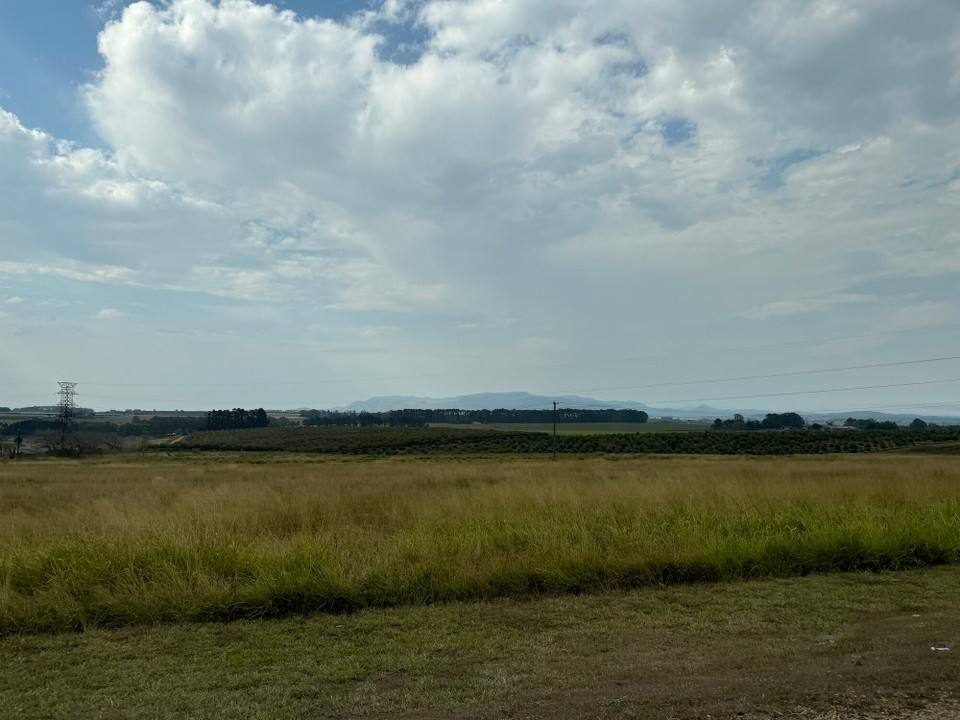 Australien - Ravenshoe - 