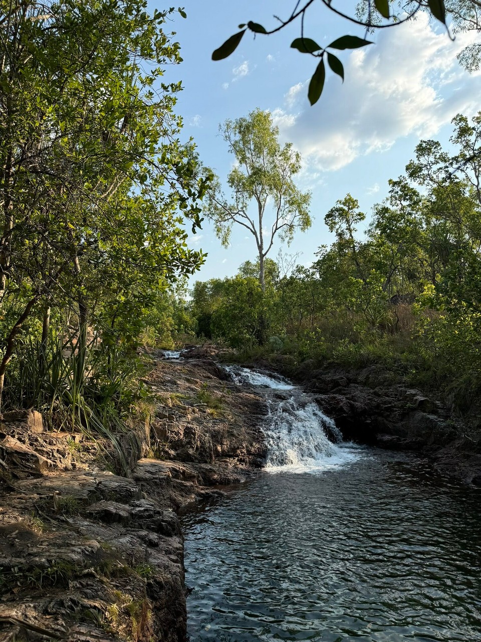 Australien - Litchfield Park - Buley Rockhole