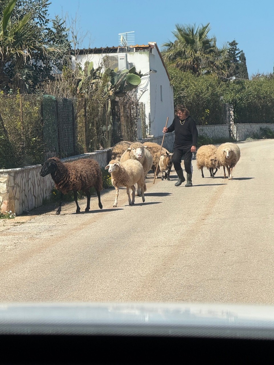 Italien - Castellammare del Golfo - Landleben 