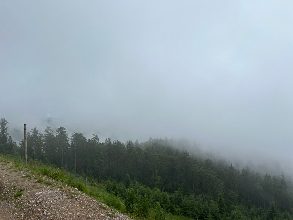 Deutschland - Alpirsbach - Und immer wieder ganz dichter Nebel 
