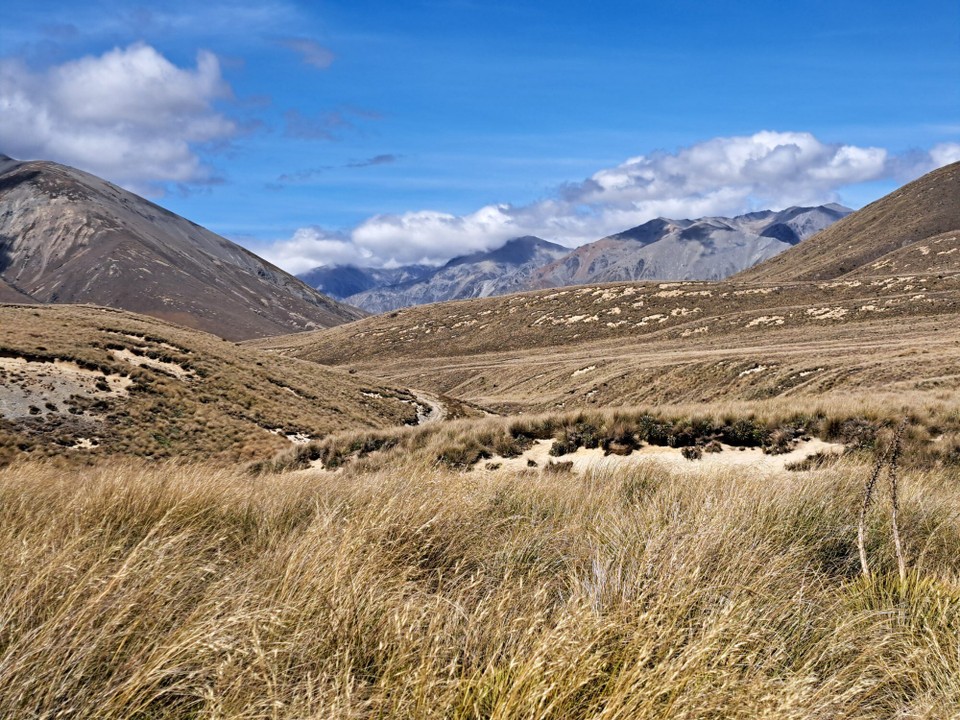 Neuseeland - Canterbury - 