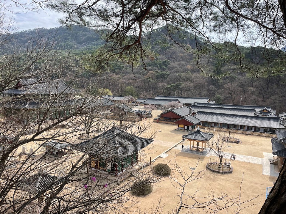 대한민국 -  - 