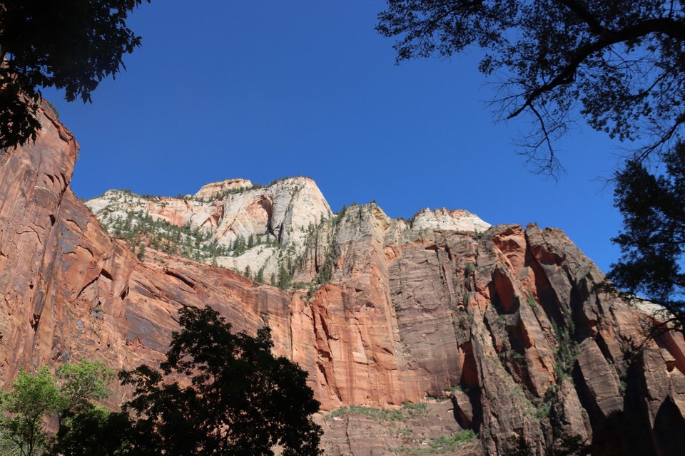 USA - Page - Zion NP