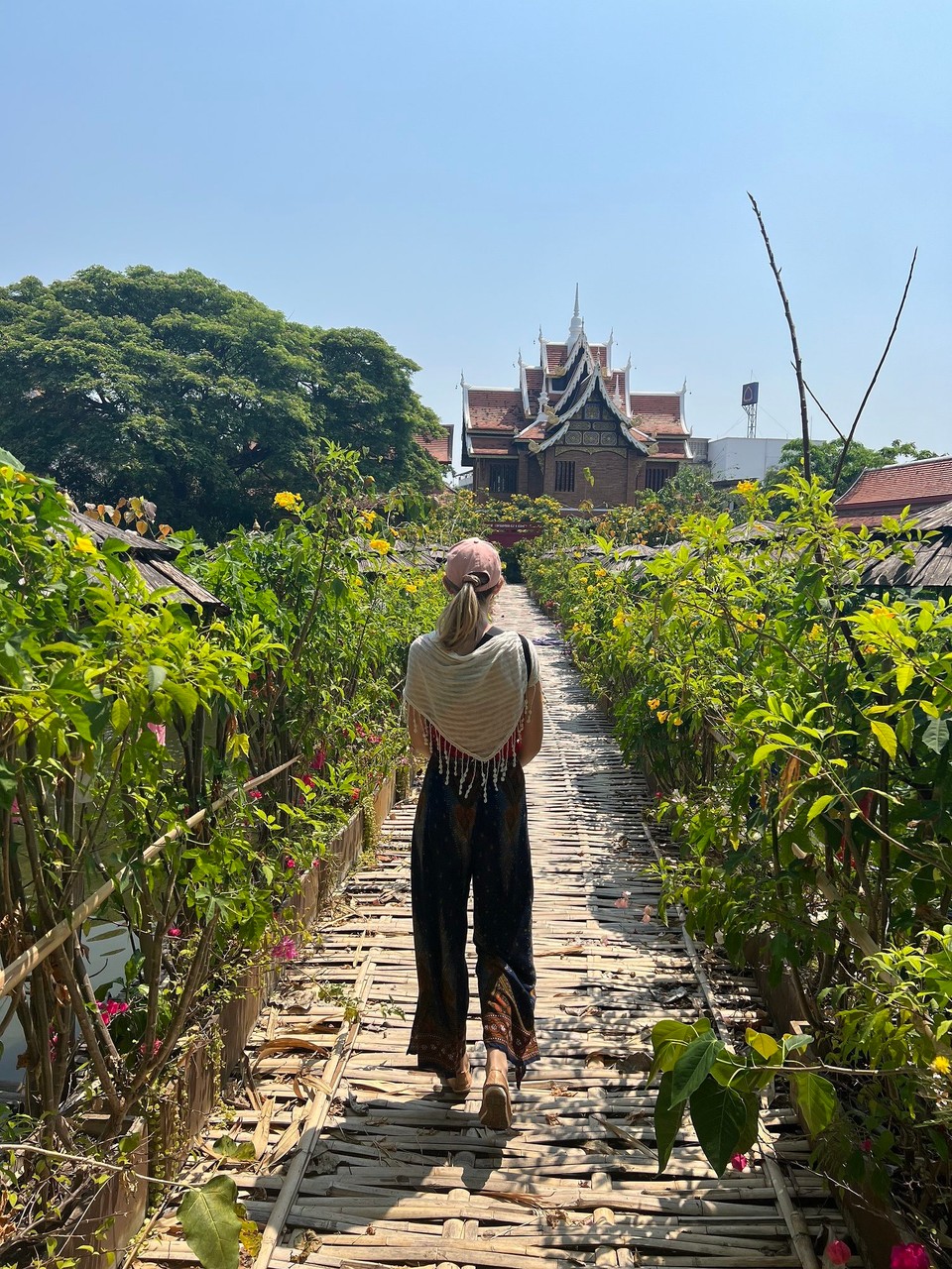 Thailand - Chiang Mai - 