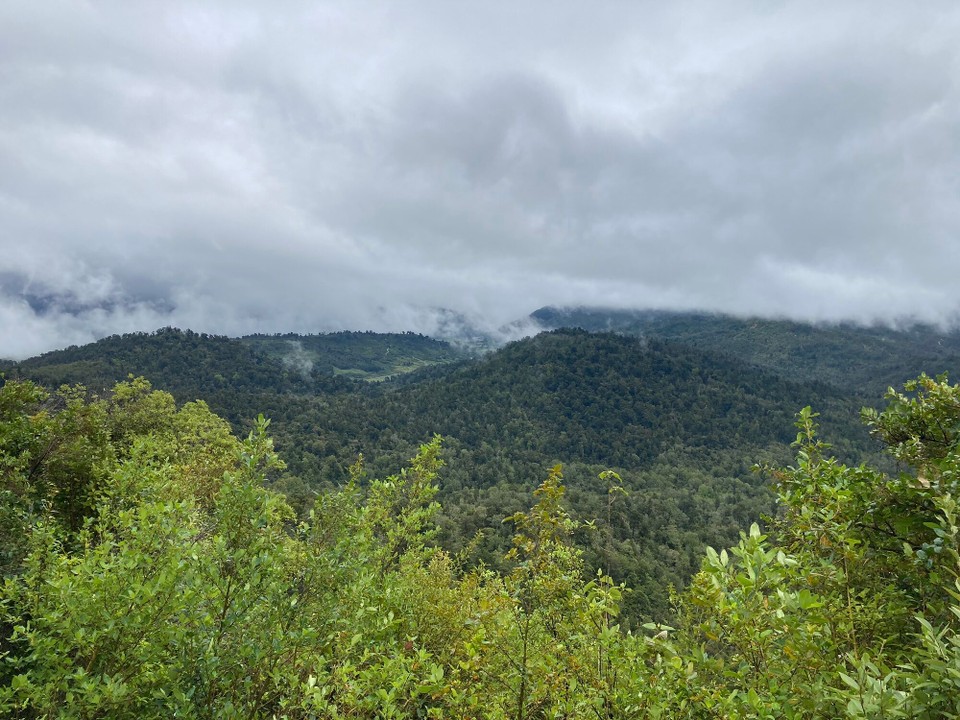 Neuseeland - Kahurangi National Park - 