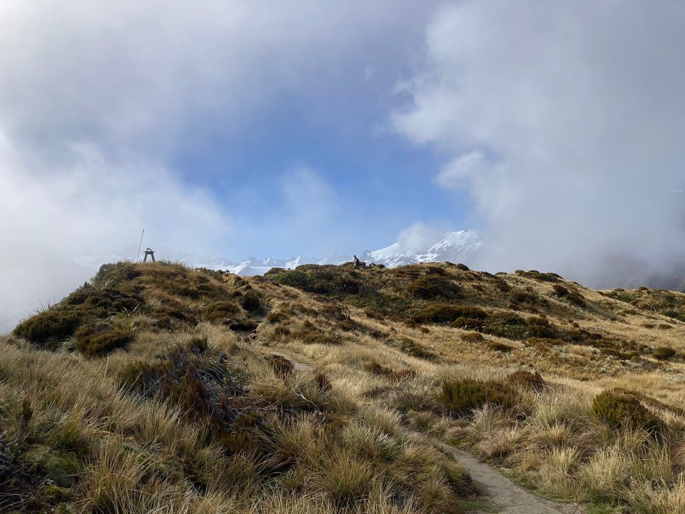 Neuseeland - Westland National Park - 