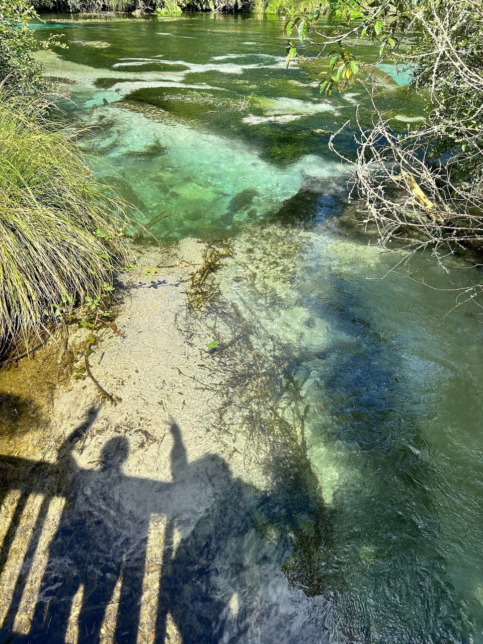 Neuseeland - Hamurana - 