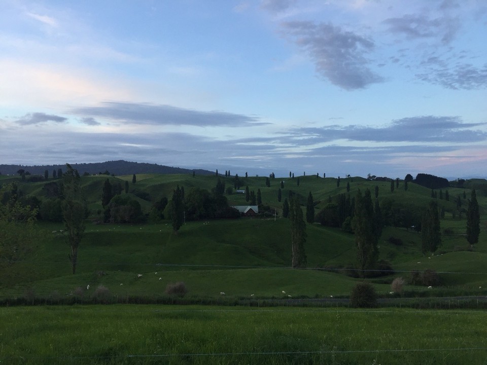  - Neuseeland, Matamata, Brocks Place - 