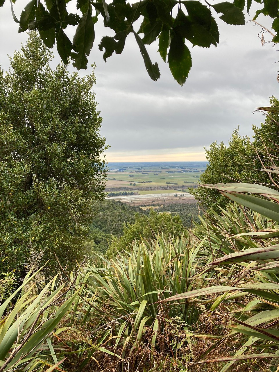 Neuseeland - Mount Peel - Blick ins Tal