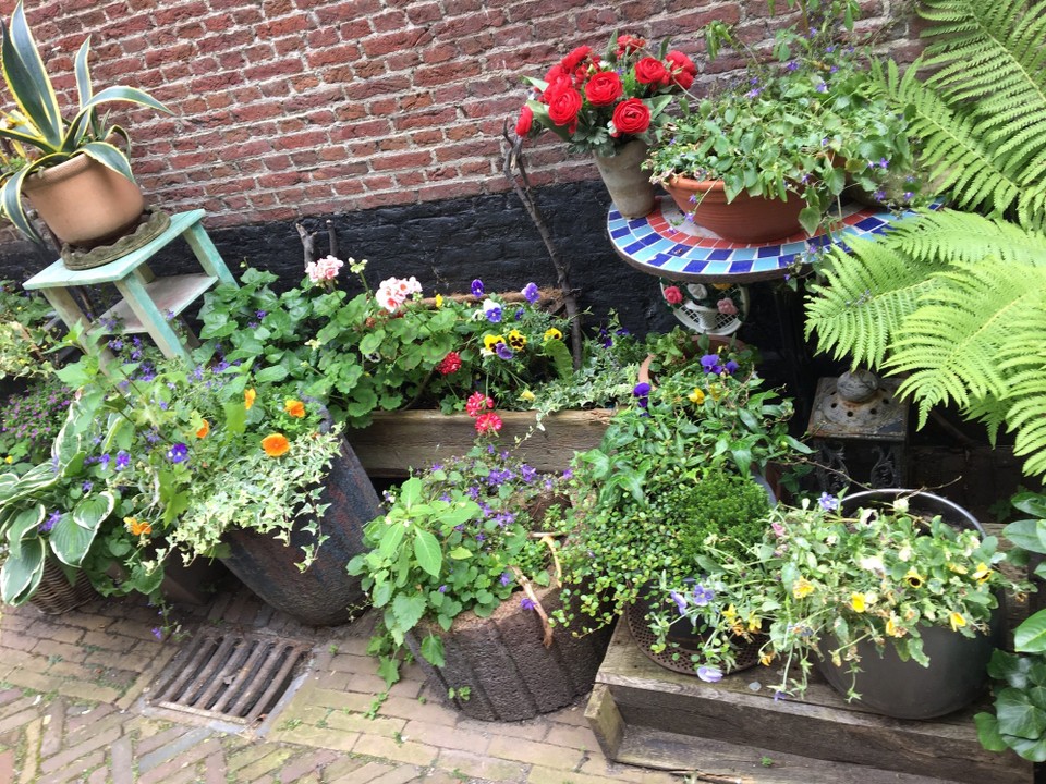 Niederlande - Warmenhuizen - 