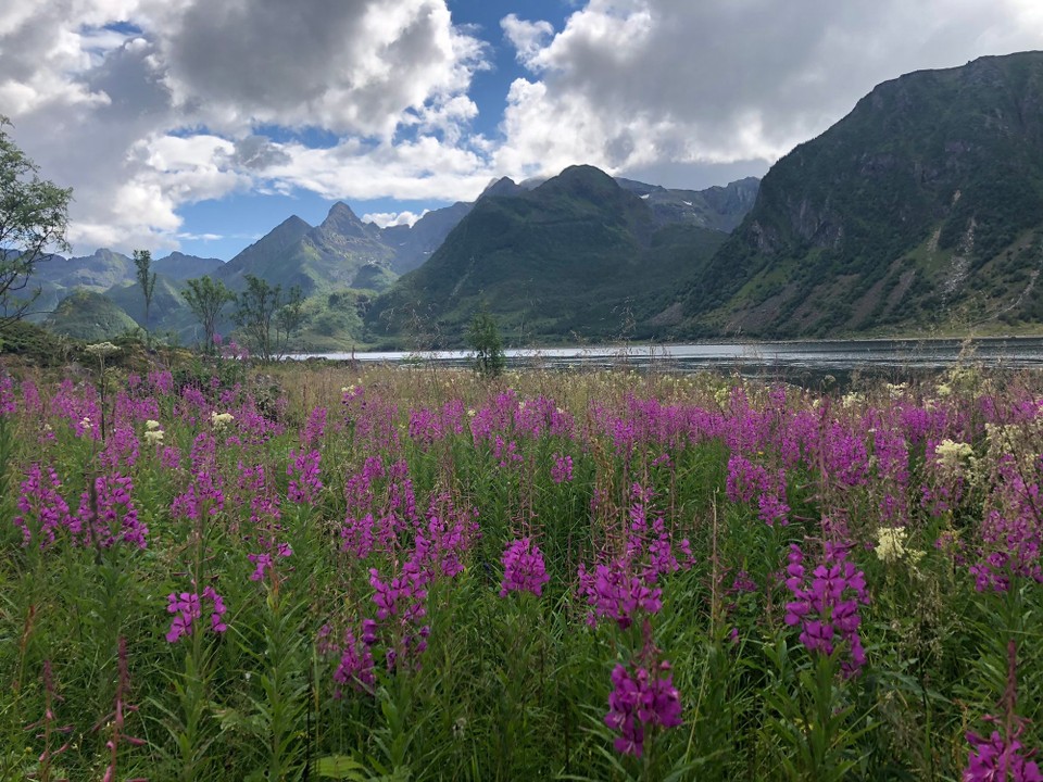 Norwegen - Laupstad - 