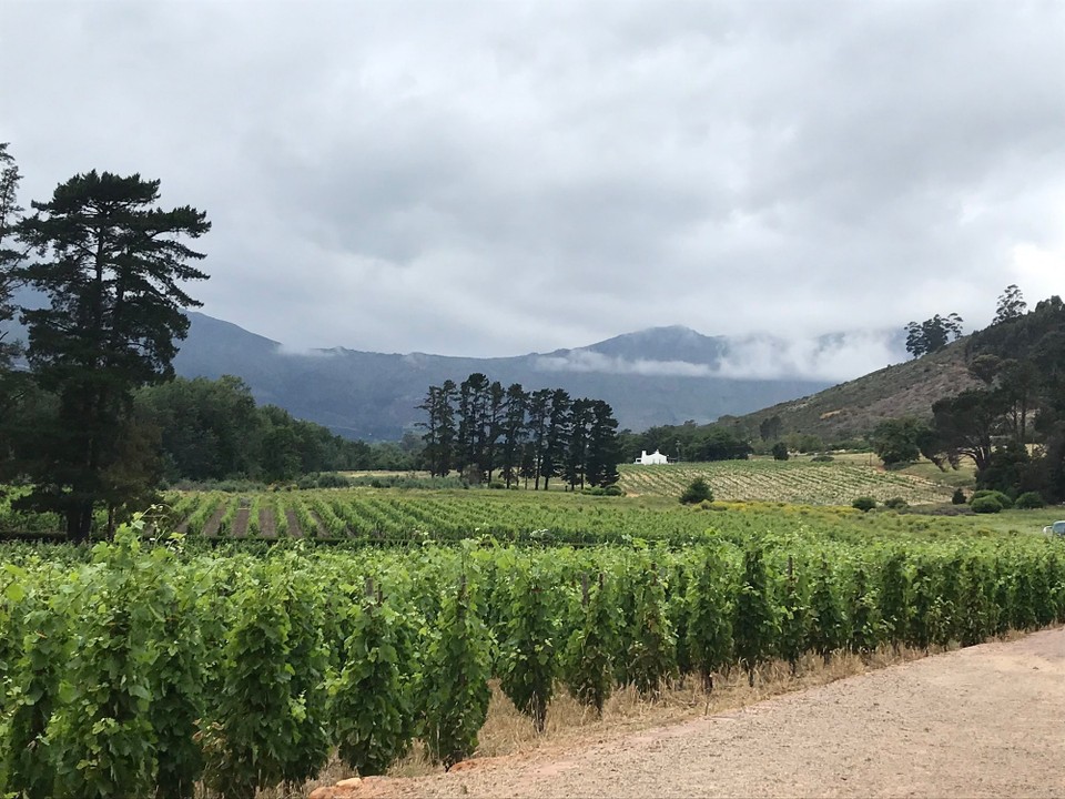 Südafrika - Stellenbosch - 