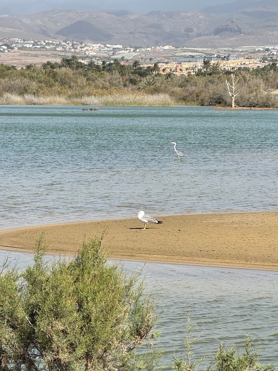 Spanien - Las Palmas de Gran Canaria - 