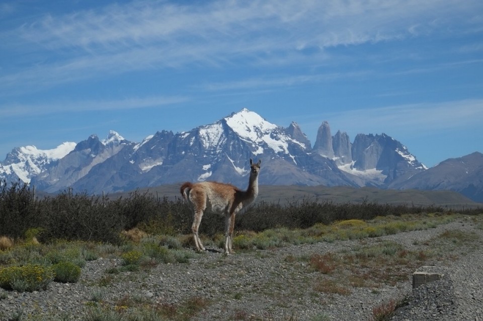 Chile - Torres del Paine - 