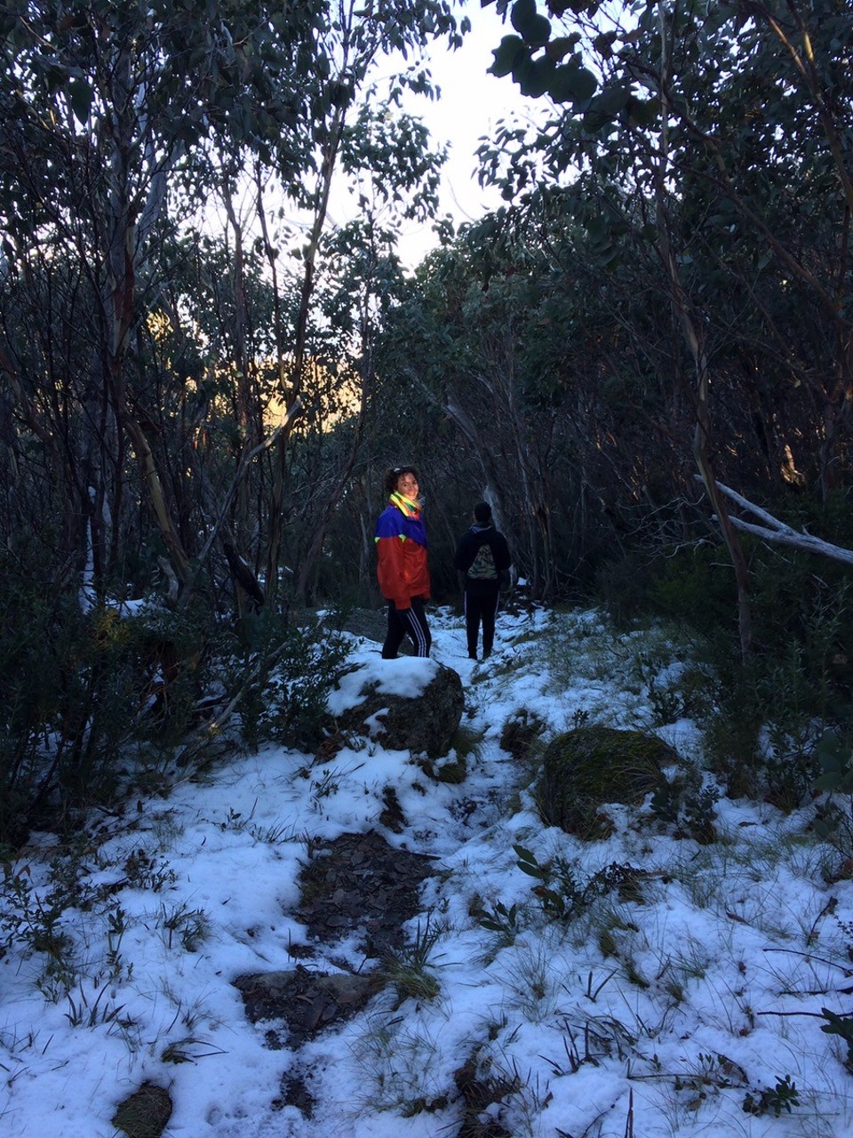 Australia - Bright - Snow and more green leaves on the other. 