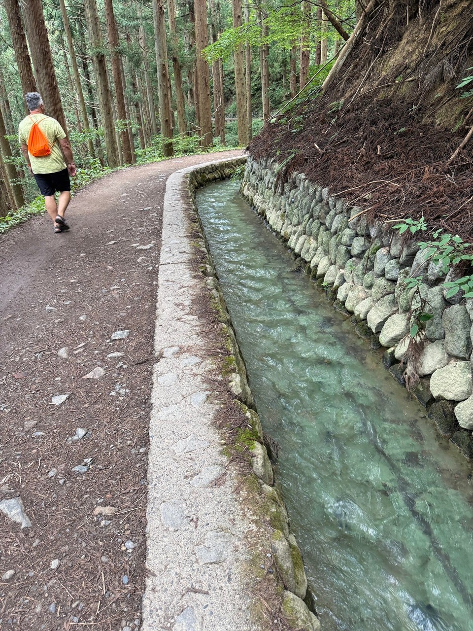 Japan - Yamanochi - Erstmal durch den Wald 🥾 