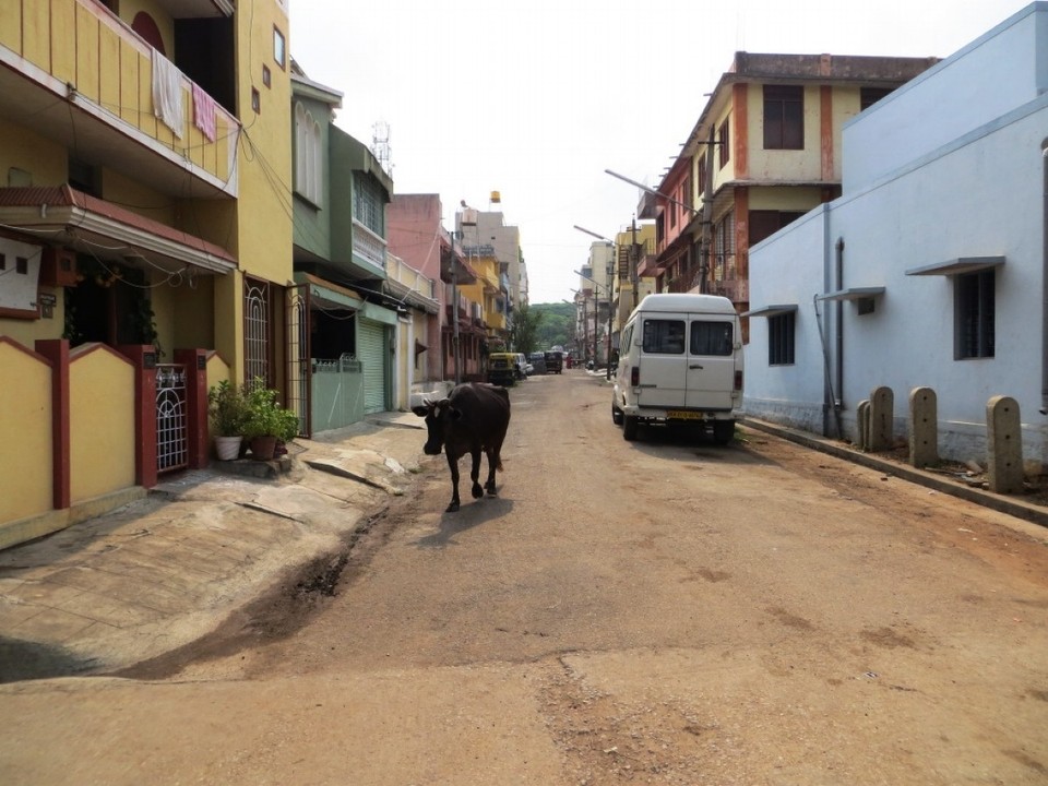 Indien - Mysore - 
